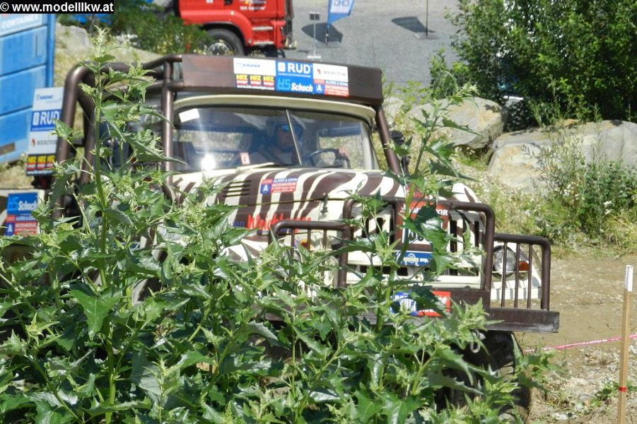 DSCN7954