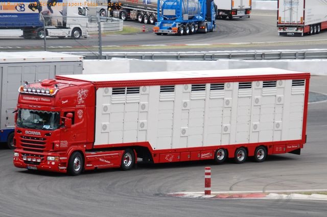 TGP 2011 233