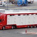 TGP 2011 233