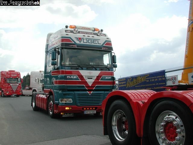 DAF XF SZGM Vögel BZ873BC