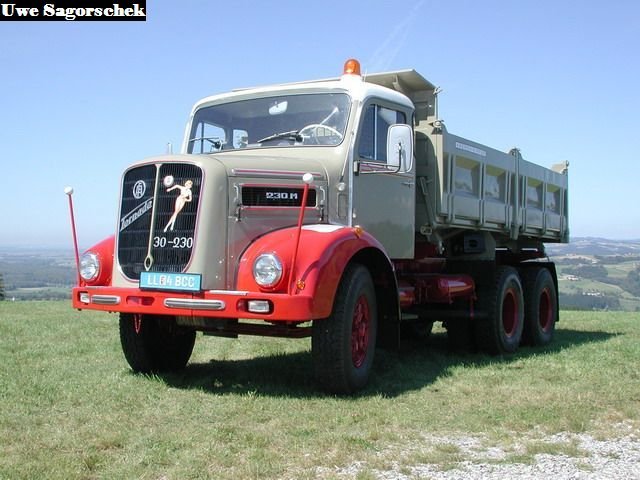 DSCN8239