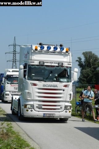 BM 81