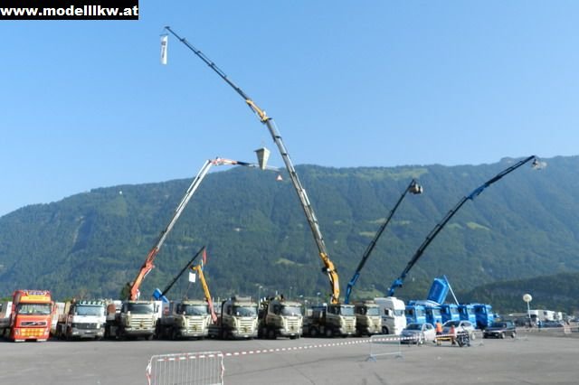 IL12 1