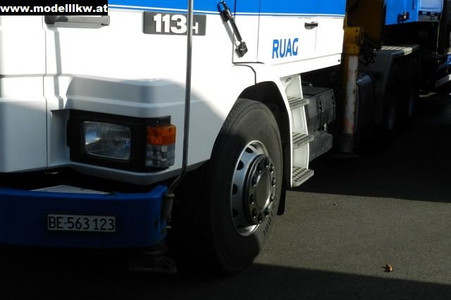 IL12 119