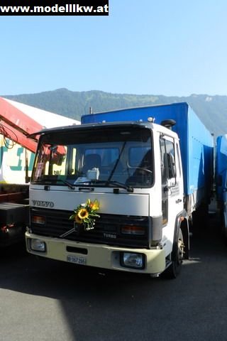 IL12 135