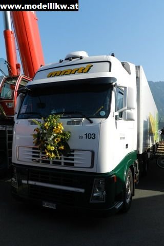 IL12 137