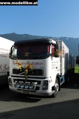 IL12 172