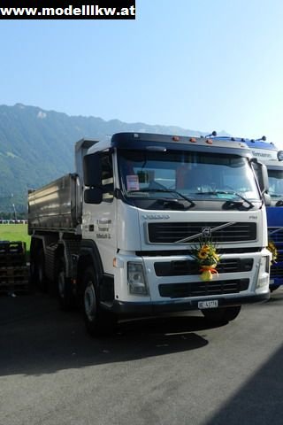 IL12 209