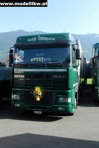 IL12 214