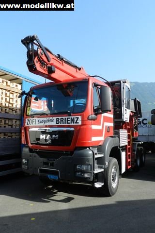 IL12 223