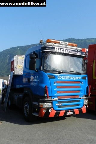 IL12 31