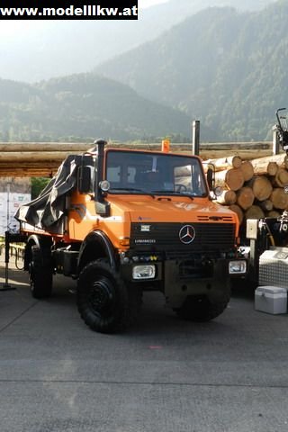 IL12 38