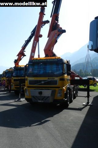 IL12 439