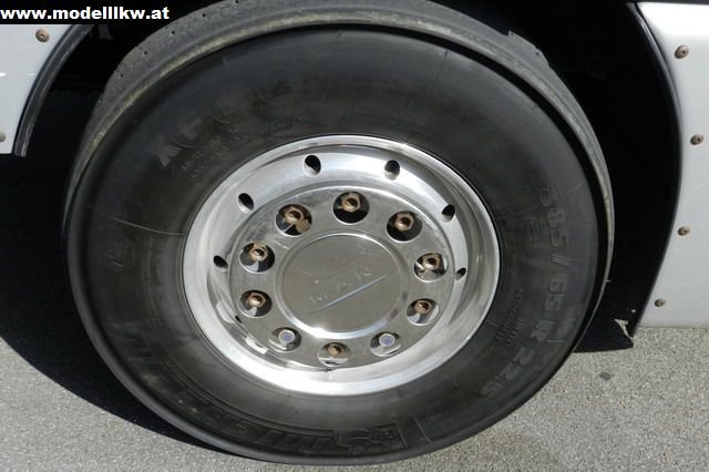 IL12 447