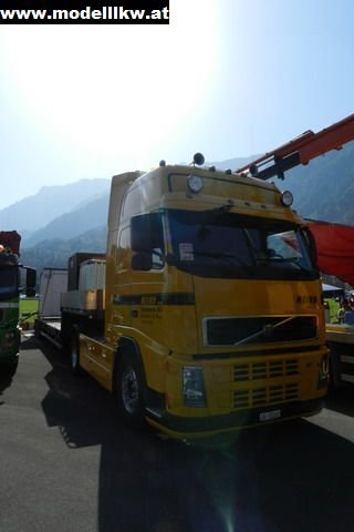 IL12 449