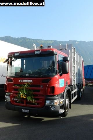 IL12 77