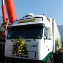 IL12 137