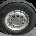 IL12 447