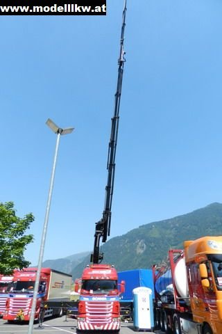 IL12 618