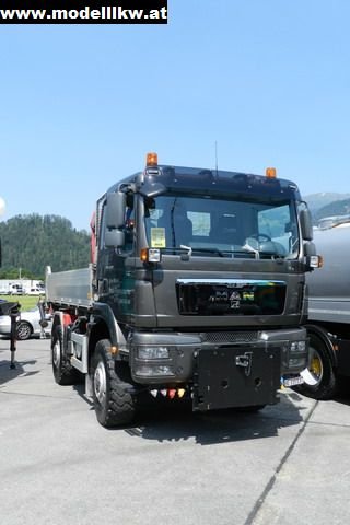 IL12 771