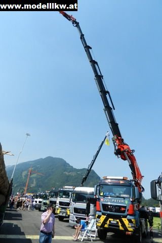 IL12 779