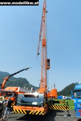 IL12 822