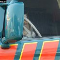 IL12 986