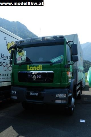 IL12 1031