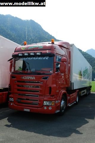 IL12 1038