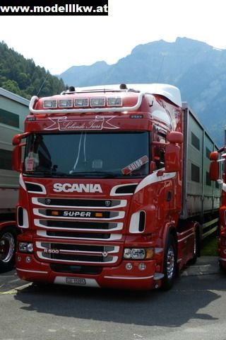 IL12 1133