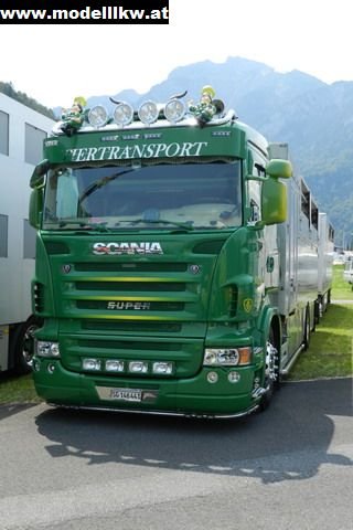 IL12 1138