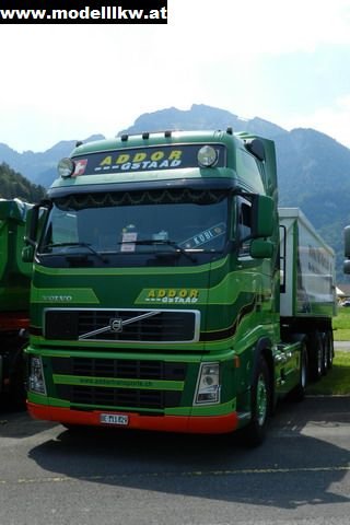 IL12 1146