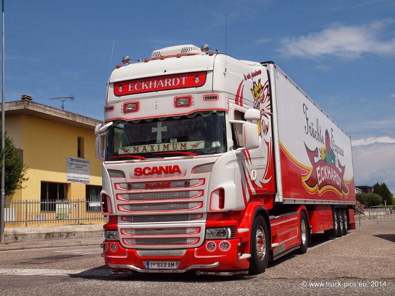 Truck Festival 3F Discio Truck (580)