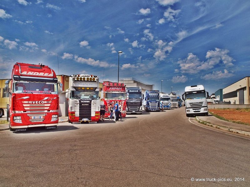 Truck Festival 3F Discio Truck (626)
