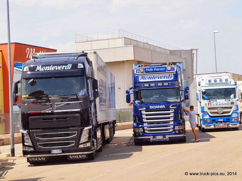 Truck Festival 3F Discio Truck (628)