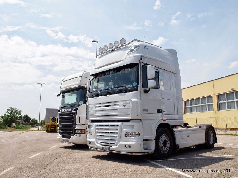 Truck Festival 3F Discio Truck (630)