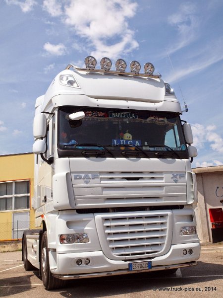 Truck Festival 3F Discio Truck (633)