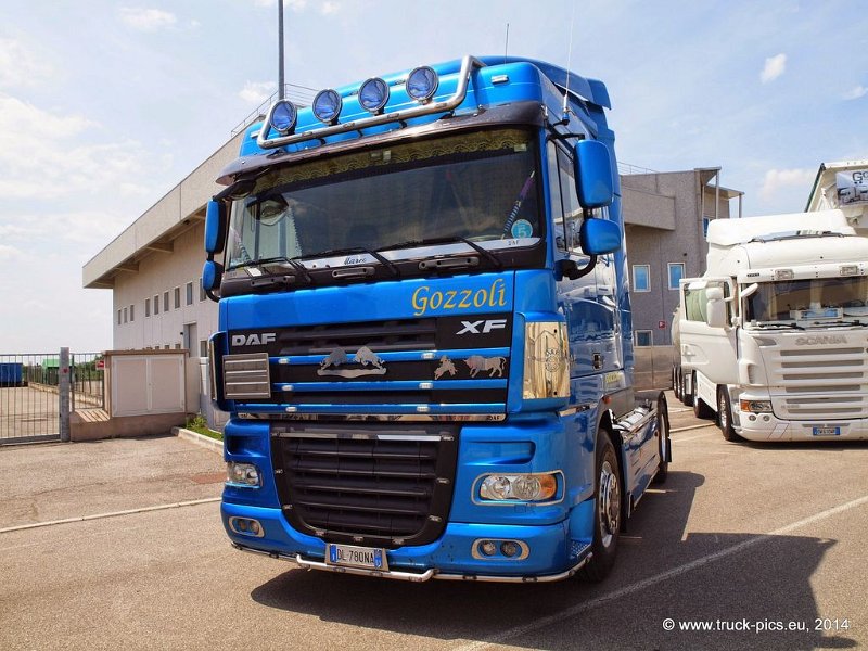 Truck Festival 3F Discio Truck (642)