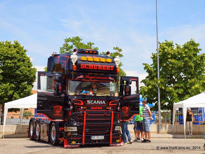 Truck Festival 3F Discio Truck (647)