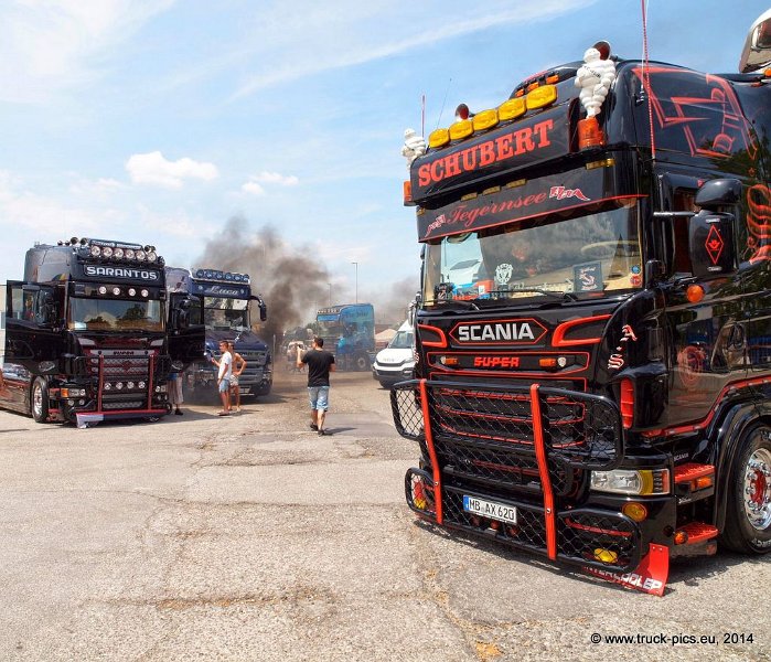 Truck Festival 3F Discio Truck (655)