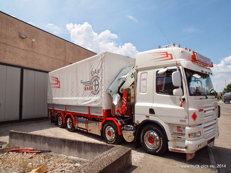 Truck Festival 3F Discio Truck (684)