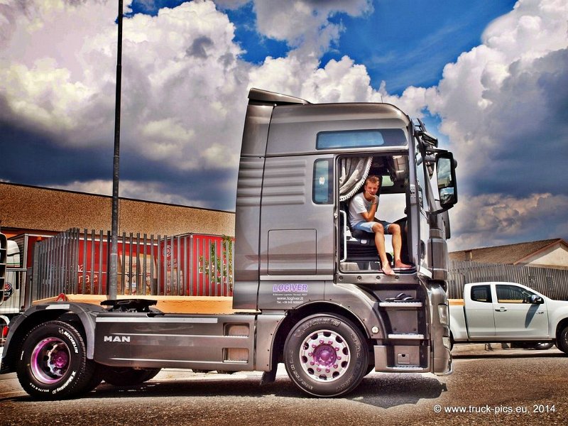 Truck Festival 3F Discio Truck (701)