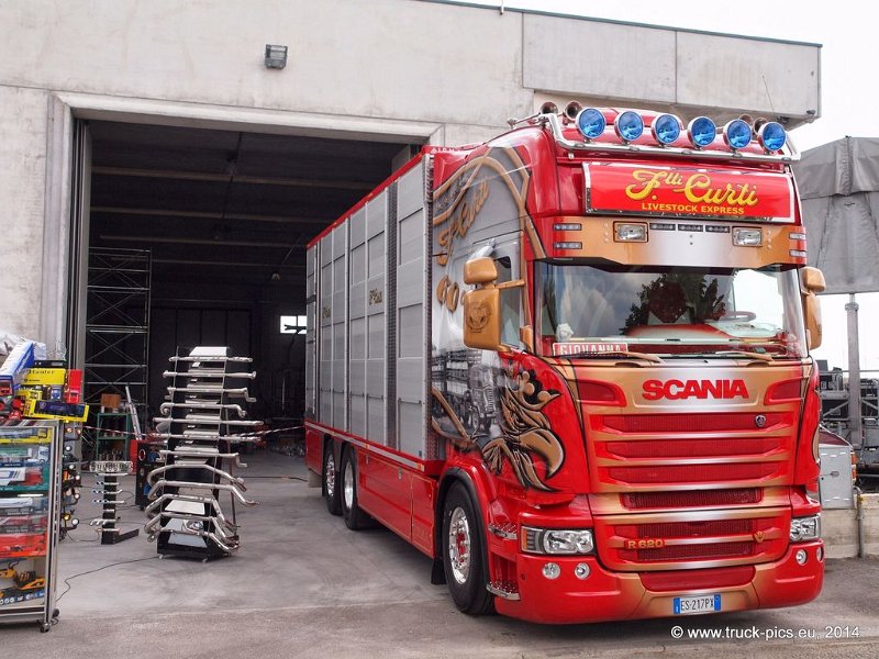 Truck Festival 3F Discio Truck (719)