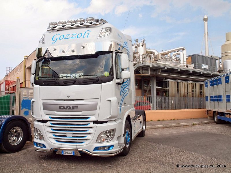 Truck Festival 3F Discio Truck (726)