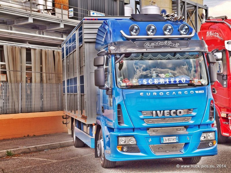 Truck Festival 3F Discio Truck (727)