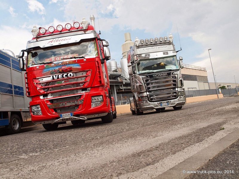 Truck Festival 3F Discio Truck (730)