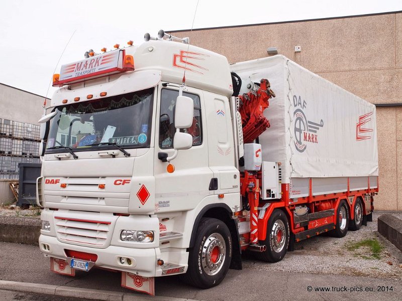 Truck Festival 3F Discio Truck (888)