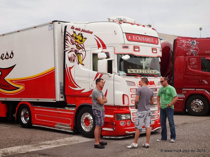 Truck Festival 3F Discio Truck (920)