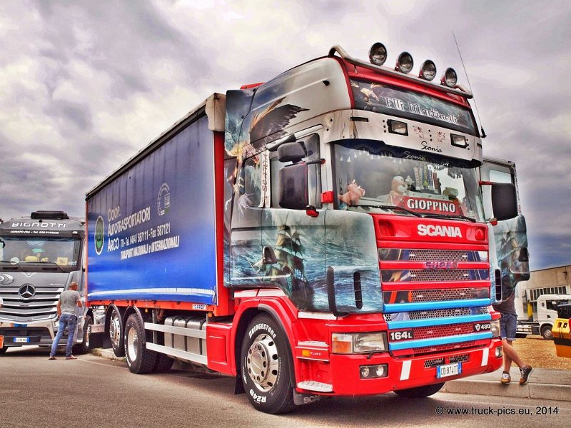 Truck Festival 3F Discio Truck (931)