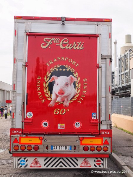 Truck Festival 3F Discio Truck (949)